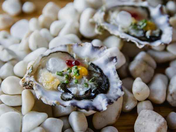 Bodas AG Planning Gourmet