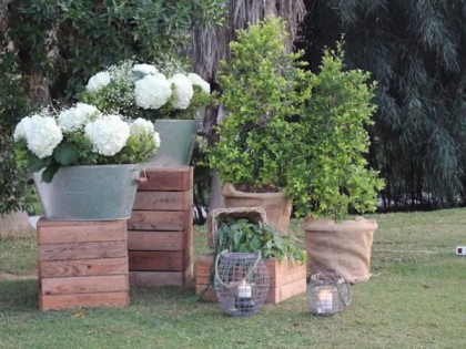 Iluminación cálida con luces LED para bodas nocturnas en jardines