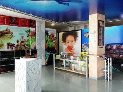 Montaje de rótulos para restaurantes, clínicas y negocios en la Bahía de Cádiz