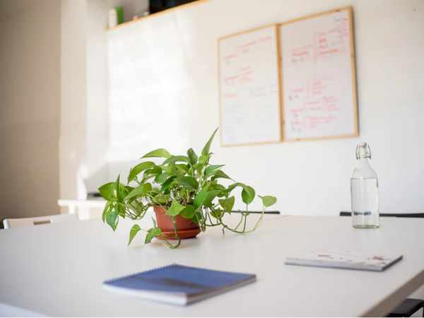 Streaming Ínsula Sur