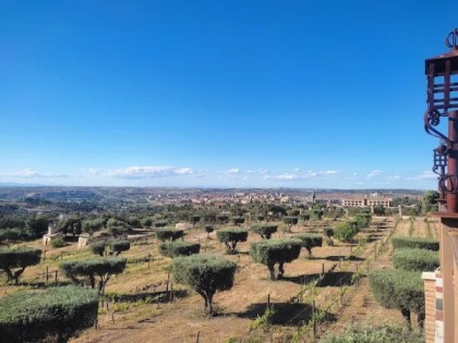 Salón Bodega con decoración elegante para banquete de boda en Toledo