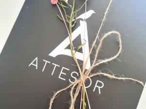 Servicios de traducción simultánea y intérpretes para eventos multilingües