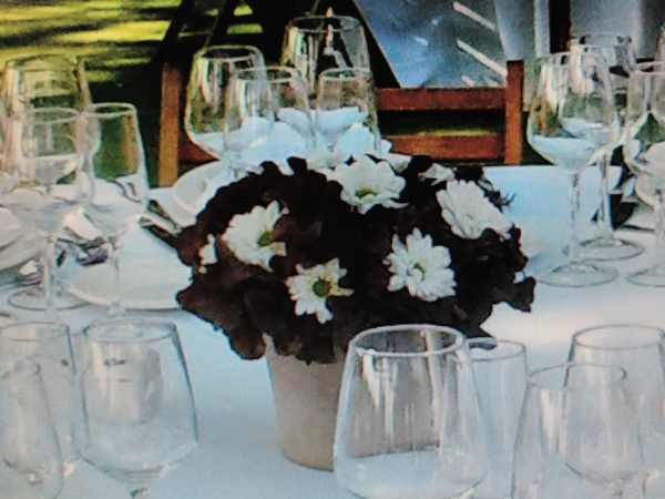 Bodas Catering Chocolat