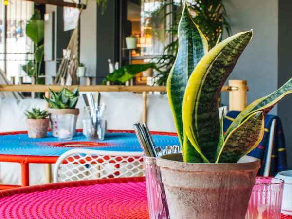 Congresos Sweet & Drink Bilbao