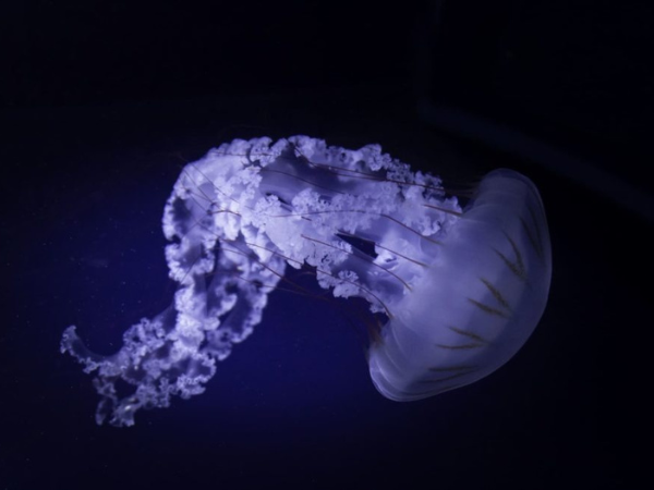 Ecodiseño en stands personalizados para reducir impacto ambiental