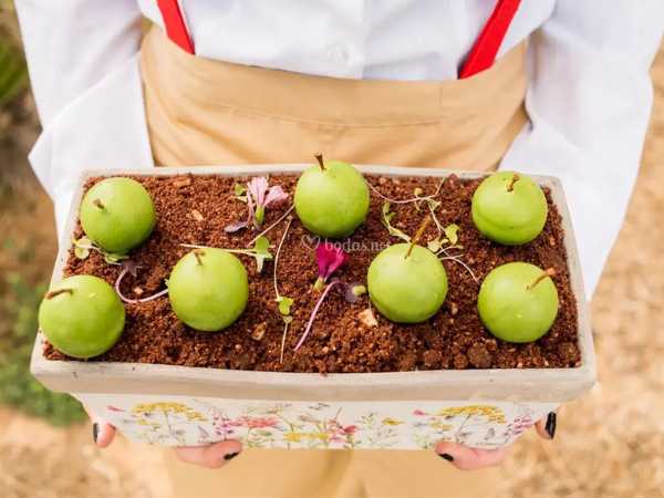 Eventos temáticos Antonio Bort