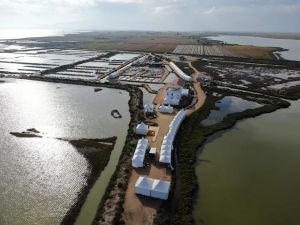 Carpa transparente montada para evento privado con vistas panorámicas