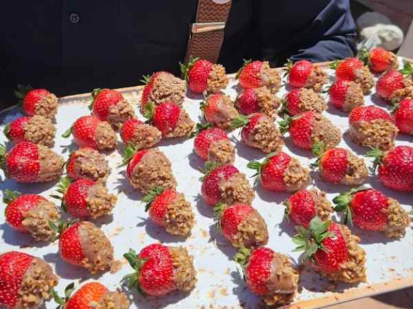 Fiestas Mangoa Catering