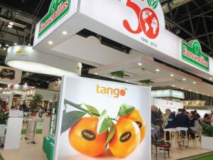 Stage design for a corporate event with custom branding