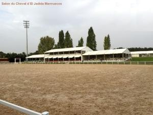 Networking space designed for a medical conference with customized signage