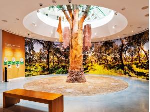 Comprehensive corporate event decoration with custom stage lighting