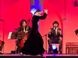 Producción audiovisual profesional para eventos virtuales