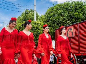 Plaqué Servicios y Producciones