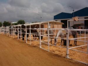 Tarima modular ROMIAN instalada en evento corporativo con iluminación frontal