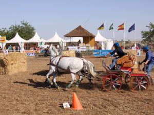 Boda con plataforma ROMIAN instalada en finca para ceremonia al aire libre