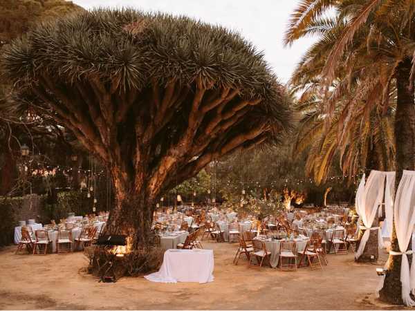 Ruedas de prensa Primitivo Catering