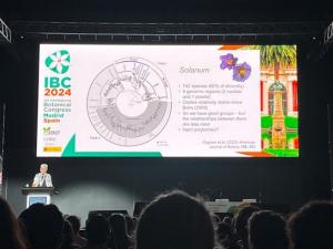 Streaming en directo para congresos y seminarios