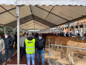 Servace: Soluciones personalizadas para eventos de todo tipo