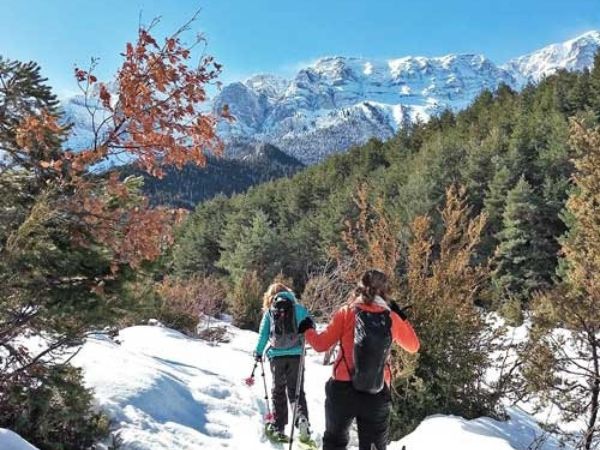 Explora la Naturaleza y Desarrolla tus Habilidades