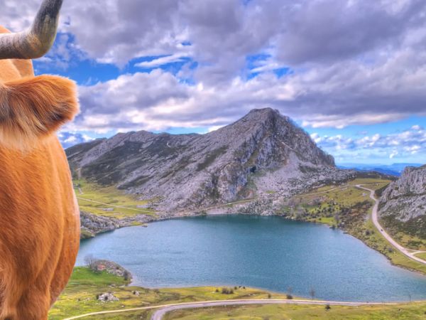 Servicios de Traslado en Asturias con ABL Asturias