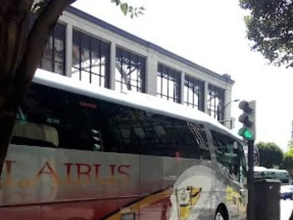 Alaibus: Experiencia y Profesionalidad en el Transporte de Viajeros