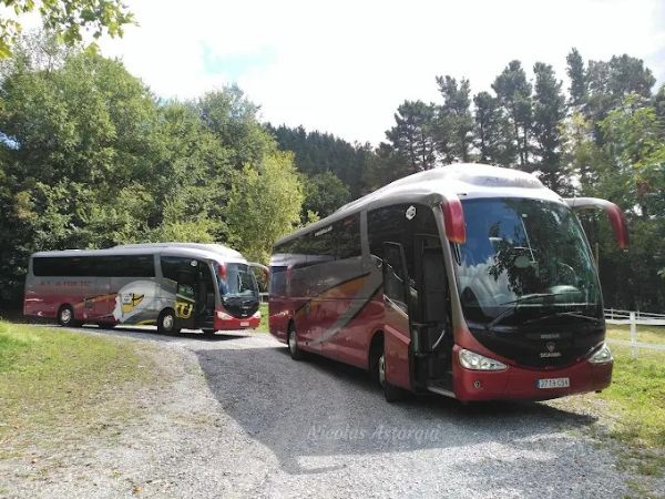 Transporte Escolar Seguro y Confiable con Alaibus