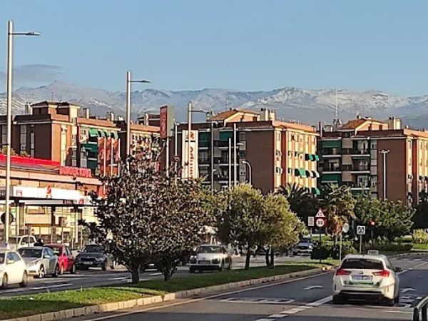 Alsa Granada: Minibuses y Autobuses para Grupos Pequeños y Grandes