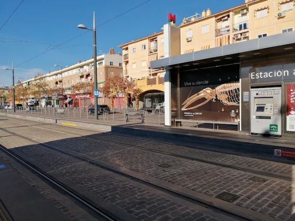 Alsa Granada: Transporte Corporativo para Empresas y Eventos