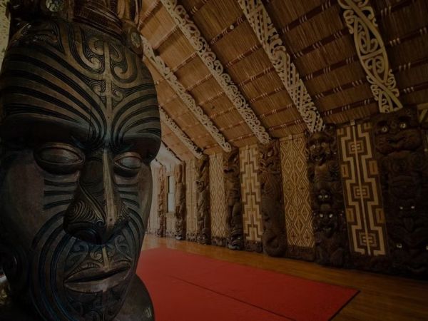 Experiencias de Haka para Empresas y Equipos