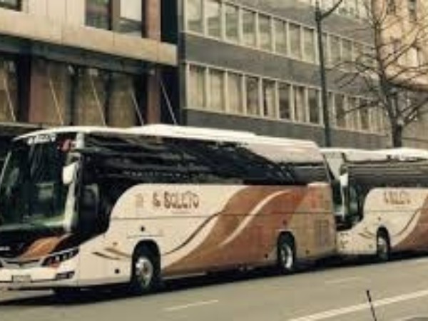Servicios de Transporte para Eventos y Empresas con Autobuses Soleto