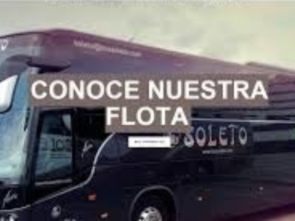 Autobuses Soleto: Autocares de Gran Capacidad para Eventos y Viajes