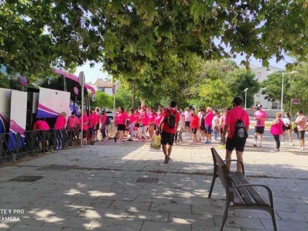 Autocares Alcántara: Soluciones de Movilidad para Empresas y Particulares