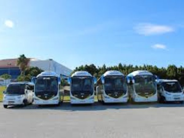 Autocares Carmona: Excursiones y Viajes Turísticos en Autobús