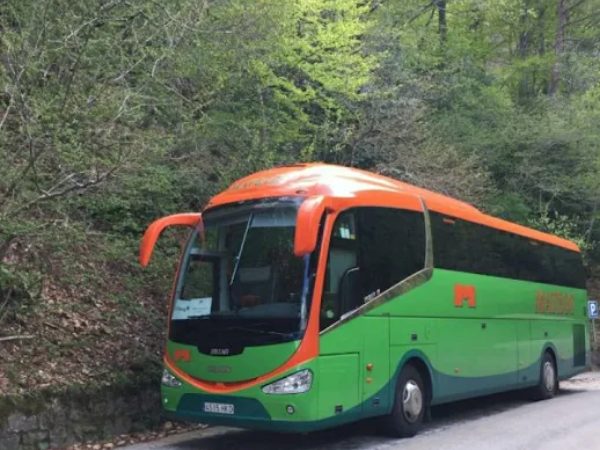 Autocares JMD Mateos: Transporte para Eventos Deportivos y Competiciones