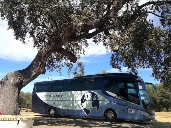 Autocares LACT: Bodas y Celebraciones con Transporte Exclusivo