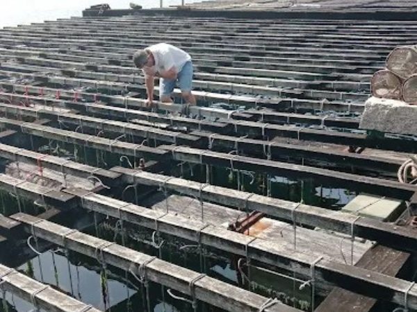 Autocares LACT: Presupuesto Personalizado para Alquiler de Autobuses