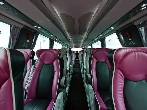 Autocares Mateos: Bodas y Celebraciones con Transporte Exclusivo