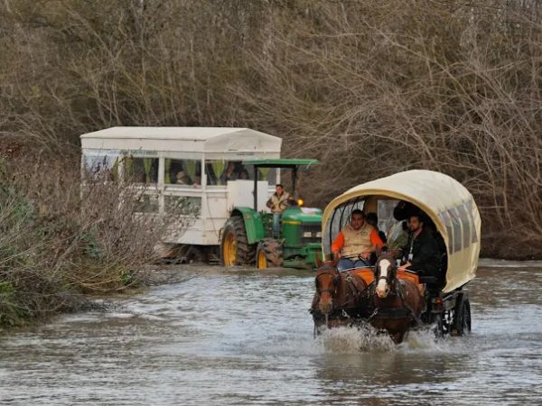 5. "Es.Cultura Eventos + Team Building: Talleres Gastronómicos y Musicales"