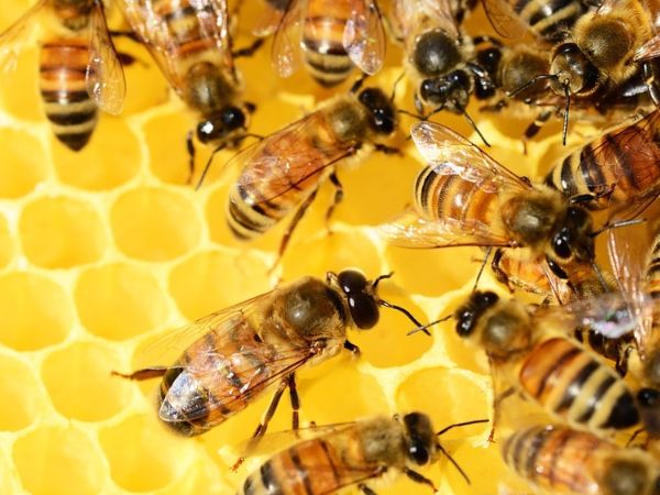 Exploramás: Experiencias de Team Building y Eventos Corporativos con Impacto