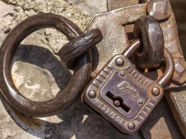 Gaia Más Eventos: Experiencias de Team Building y Desarrollo de Habilidades