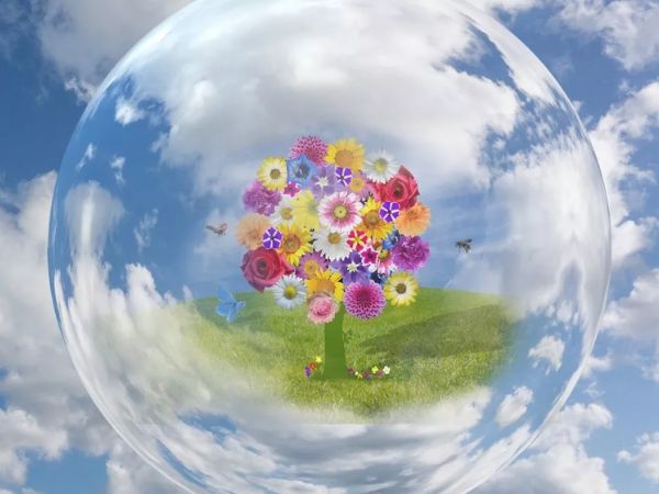 Actividades de Aventura y Naturaleza para Empresas con Gaia Más Eventos