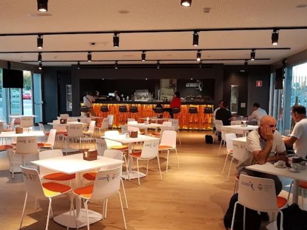 L’Alqueria del Basket: Opciones de Team Building para Empresas y Grupos