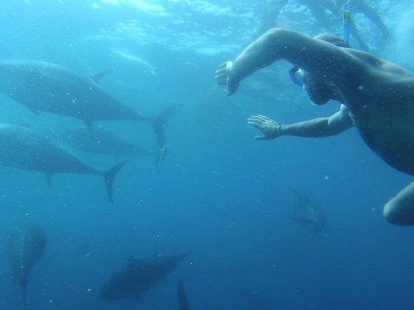 . "Experiencias de Team Building y Aventuras en el Mar con Nàutic Parc"