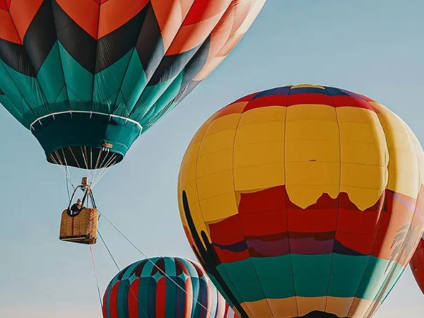 PinaPark Aventura: Eventos Deportivos y de Aventura en la Naturaleza