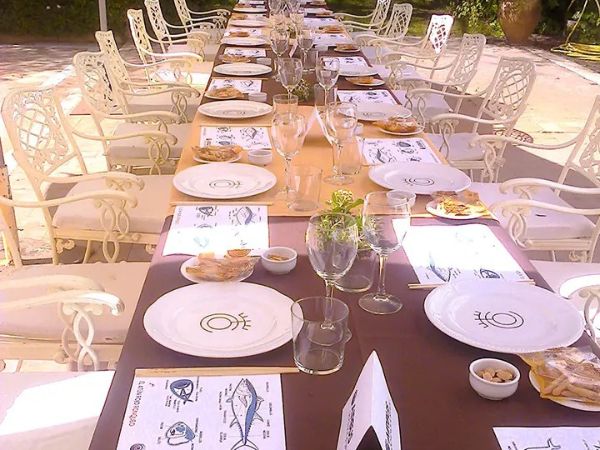 PinaPark Aventura: Campamentos y Excursiones Escolares en la Naturaleza