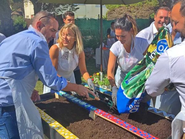 PinaPark Aventura: Organización de Eventos y Actividades al Aire Libre