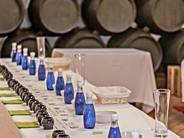 PinaPark Aventura: Deportes de Aventura y Turismo Activo en Andalucía