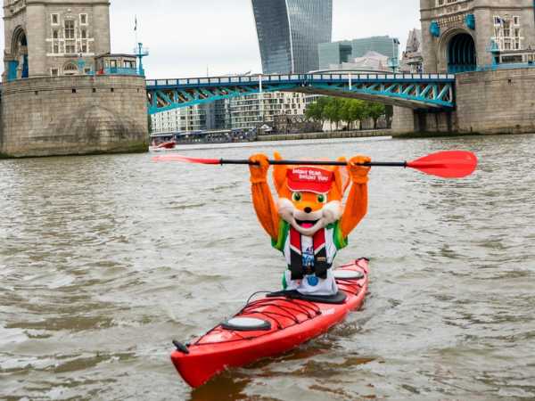 Producción de eventos mc Group – mc Sport & Entertainment