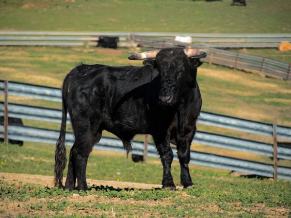 SUR THE LIFE EXPERIENCE: Actividades Tradicionales y Culturales en Andalucía