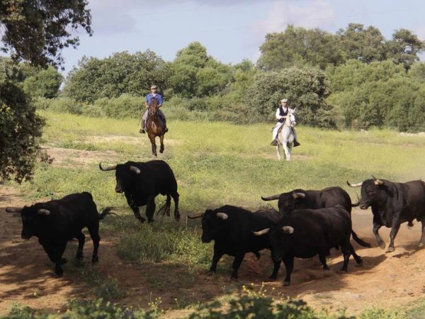 SUR THE LIFE EXPERIENCE: Experiencias Gastronómicas en Viñedos y Restaurantes